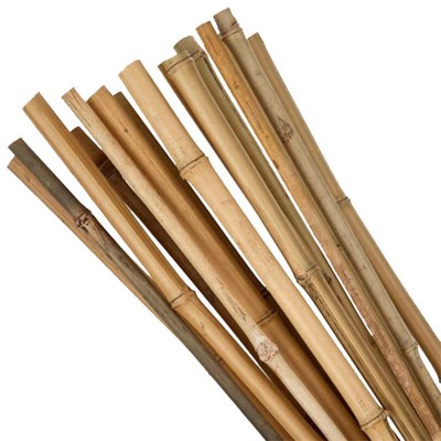 Tyč Garden KBT 0750/08-10 mm, 10 ks, oporná, bambus